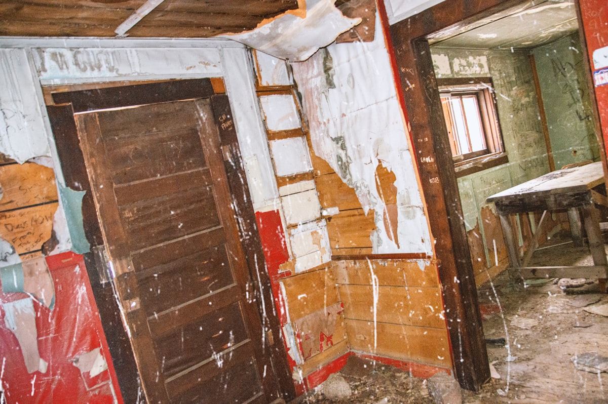 Mold Remediation service in Casas Adobes, AZ